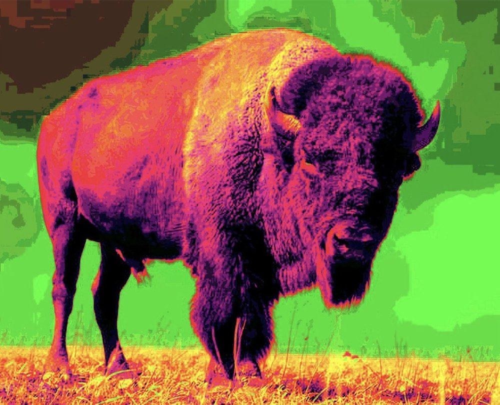 10 and 10: Story of Stories sparks reflections on evolution for Surrey Art Gallery’s 50th&nbsp;anniversary